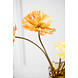 SILK-KA Papavero a stelo arancione | 63 cm