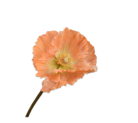 SILK-KA Klaproos Steel Oranje | 63 cm