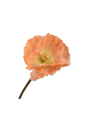 SILK-KA Oransje stilkvalmue | 63 cm