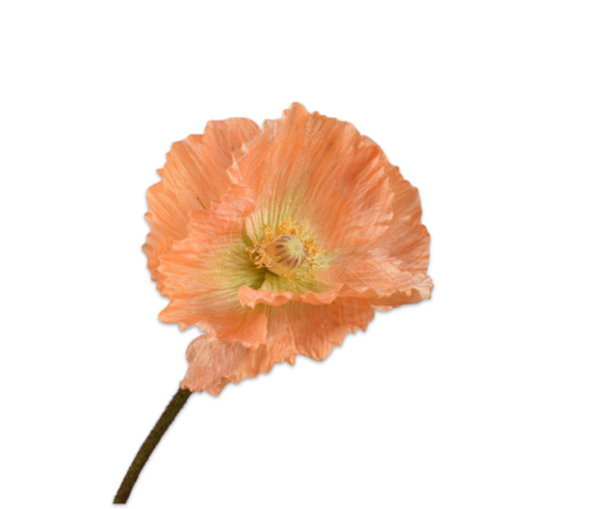 SILK-KA Coquelicot à tige orange | 63 cm