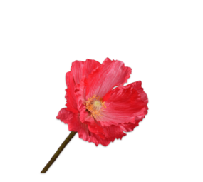 SILK-KA Beauté en acier Poppy | 63 cm