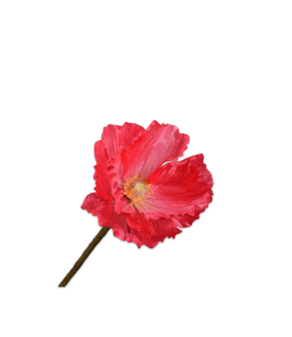 SILK-KA Beauté en acier Poppy | 63 cm