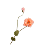 SILK-KA Rama de amapola melocotón RT | 109 cm