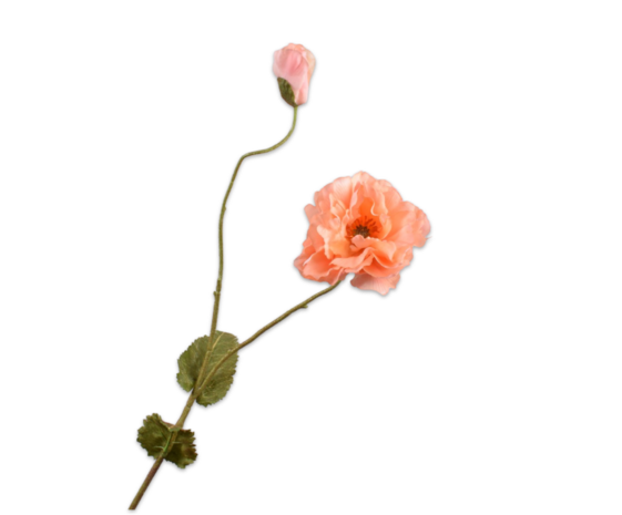 SILK-KA Klaproos Tak Perzik RT | 109 cm