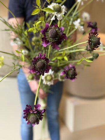 SILK-KA Artificial flower bouquet "SCABIOSA MIX"