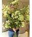 SILK-KA Kunstbloemen boeket "VOORJAARSMIX"