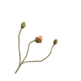 SILK-KA Tige de pavot pêche | 87 cm