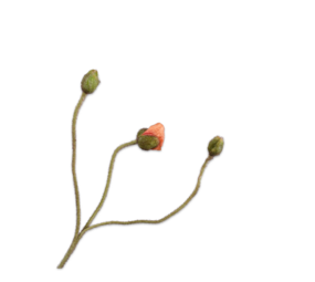 SILK-KA Melocotón con tallo de amapola | 87 cm