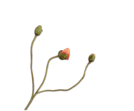 SILK-KA Valmuestilk Fersken | 87 cm