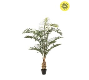 NU PUUR & GROEN Kunstplant voor buiten - Palm Areca 120 cm - UV-bestendig