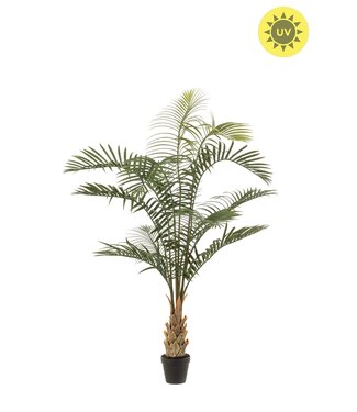 NU PUUR & GROEN Artificial outdoor plant - Areca Palm 120 cm - UV-resistant