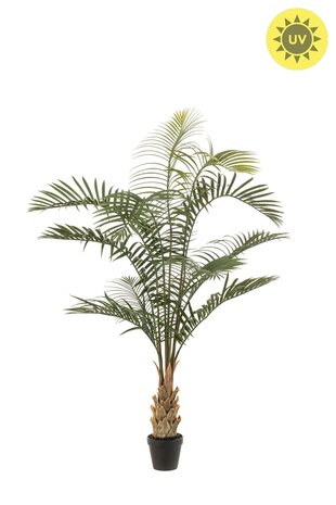 NU PUUR & GROEN Kunstig utendørsplante - Areca-palme 120 cm - UV-bestandig