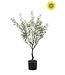 NU PUUR & GROEN Plante artificielle d'extérieur - Olivier 90 cm - Résistante aux UV