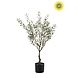 NU PUUR & GROEN Artificial outdoor plant - Olive tree 90 cm - UV-resistant