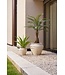 NU PUUR & GROEN Pianta artificiale da esterno - Palma 150 cm - Resistente ai raggi UV