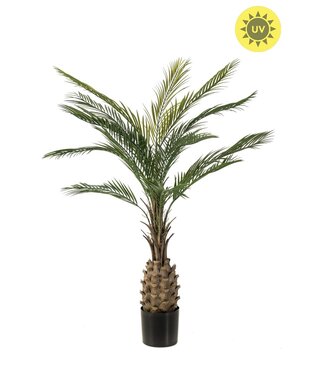 NU PUUR & GROEN Artificial outdoor plant - Palm 150 cm - UV-resistant