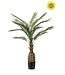 NU PUUR & GROEN Kunstig utendørsplante - Palme 150 cm - UV-bestandig