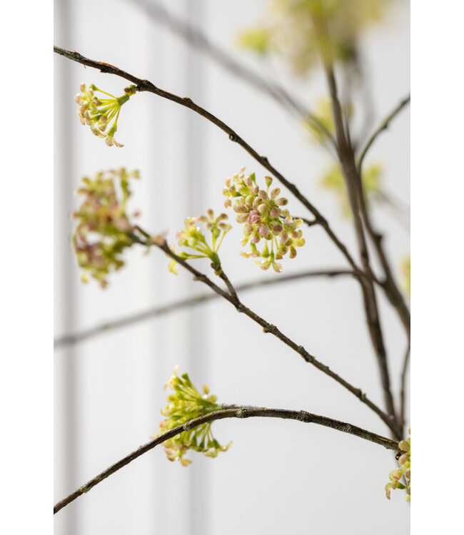 SILK-KA Grønn Spirea-gren | 160 cm