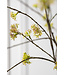 SILK-KA Green Spirea Branch | 160 cm