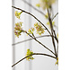 SILK-KA Ramo di spirea verde | 160 cm