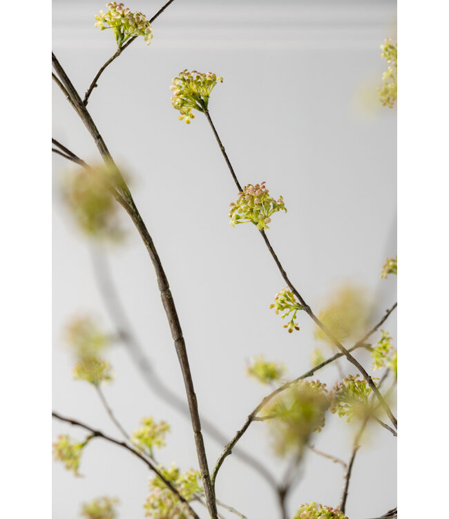 SILK-KA Branche de spirée verte | 160 cm