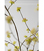 SILK-KA Green Spirea Branch | 160 cm