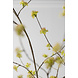 SILK-KA Spirea Tak Groen | 160 cm