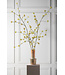 SILK-KA Branche de spirée verte | 160 cm