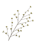 SILK-KA Branche de spirée verte | 160 cm
