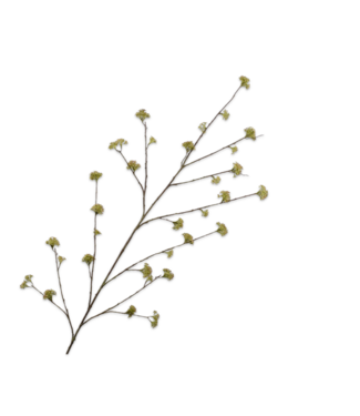 SILK-KA Spirea Tak Groen | 160 cm