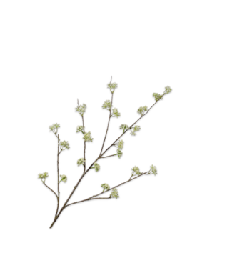 SILK-KA Branche d'aneth verte | 115 cm