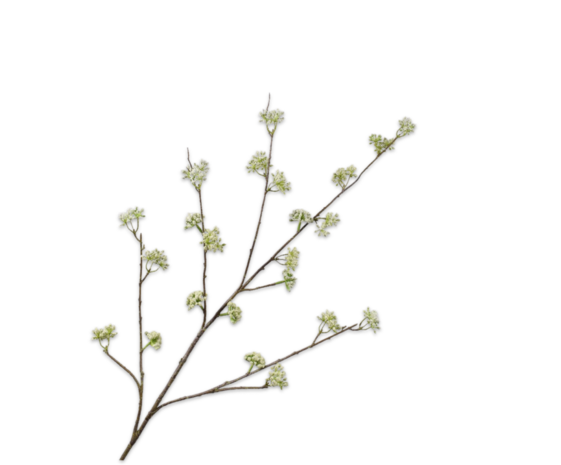 SILK-KA Green Dill Branch | 115 cm
