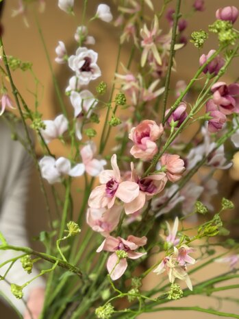 SILK-KA Kunstbloemen boeket "Royal Delphinium Peach" Small SILK-KA Kunstbloemen boeket "Royal Delphinium Peach" Small