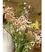 SILK-KA Kunstbloemen boeket "Royal Delphinium Peach" Small