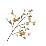 SILK-KA Oransje gren | 124 cm