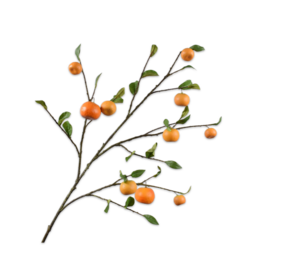 SILK-KA Orangenzweig | 124 cm
