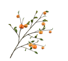 SILK-KA Sinaasappel Tak Oranje | 124 cm SILK-KA Sinaasappel Tak Oranje | 124 cm