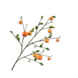 SILK-KA Orangenzweig | 124 cm SILK-KA Orangenzweig | 124 cm