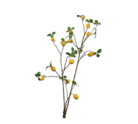 SILK-KA Sitrongren gul/grønn | 114 cm