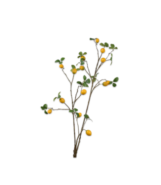 SILK-KA Sitrongren gul/grønn | 114 cm