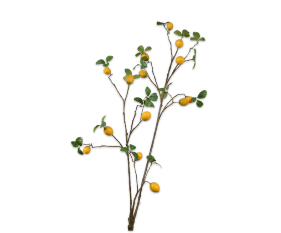 SILK-KA Citroen Tak Geel/Groen | 114 cm