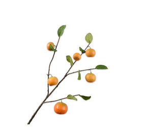 SILK-KA Oransje gren | 92 cm
