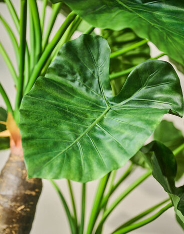 SILK-KA Verde Alocasia | 170cm