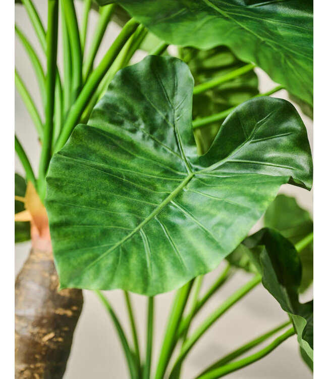 SILK-KA Alocasia Green | 170 cm