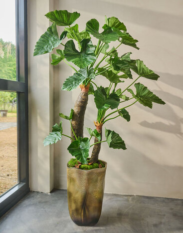 SILK-KA Alocasia Vert | 170cm
