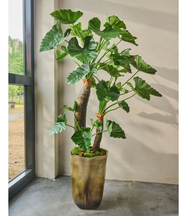 SILK-KA Alocasia Green | 170 cm