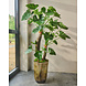 SILK-KA Alocasia Vert | 170cm