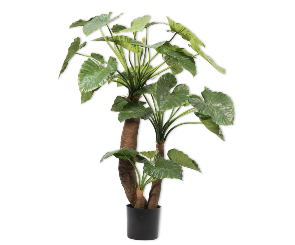 SILK-KA Verde Alocasia | 170cm
