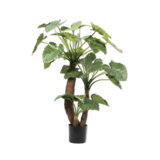 SILK-KA Alocasia Green | 170 cm