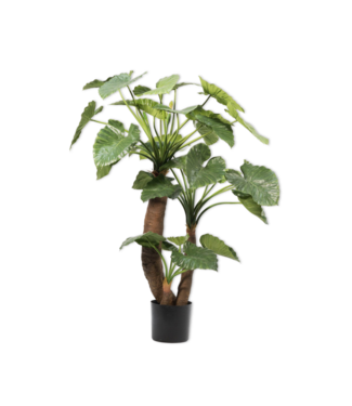 SILK-KA Alocasia Vert | 170cm